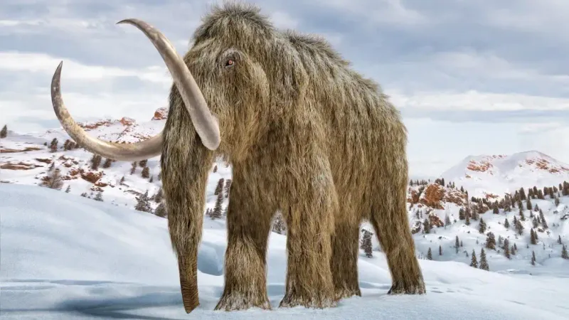 Mammoths: Big Game That Changed Everything