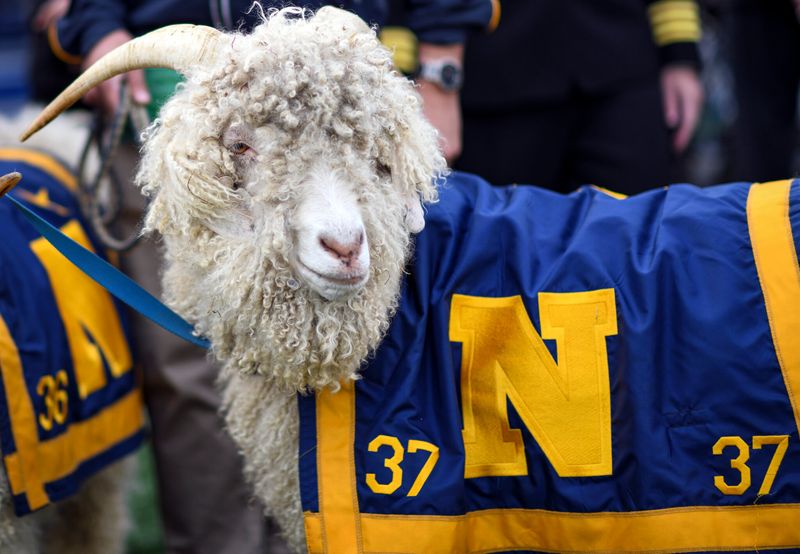 Bill The Goat: The U.S. Naval Academy's Enduring Mascot