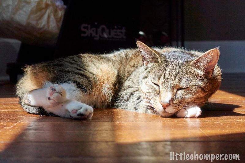 Dreamy Naps