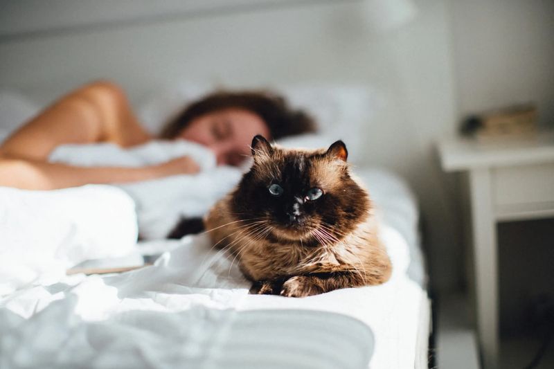 Synchronized Sleeping Schedules