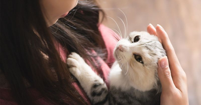 Staying Close During Illness