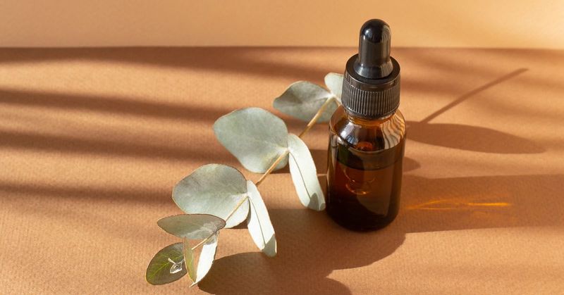 Eucalyptus Oil