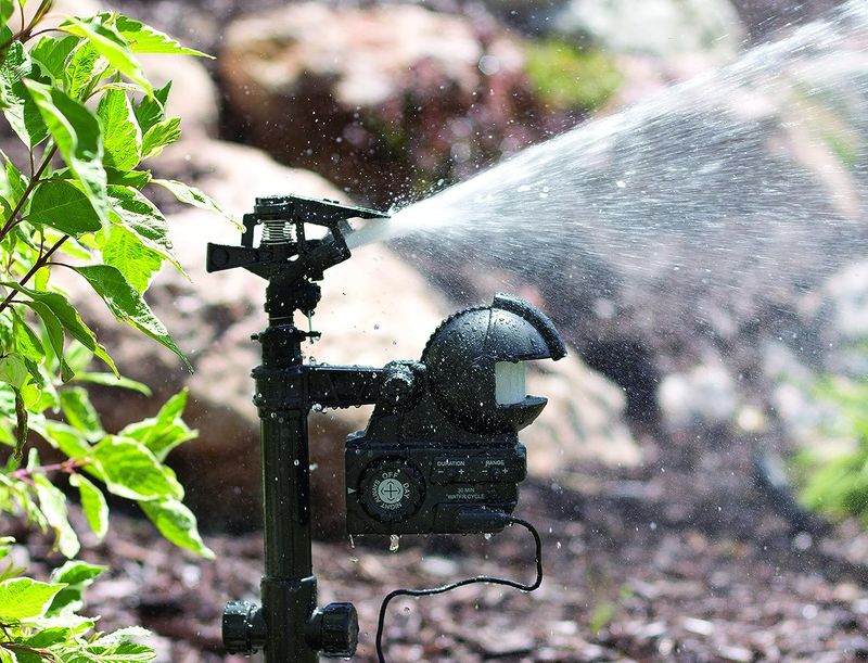 Motion-Activated Sprinklers