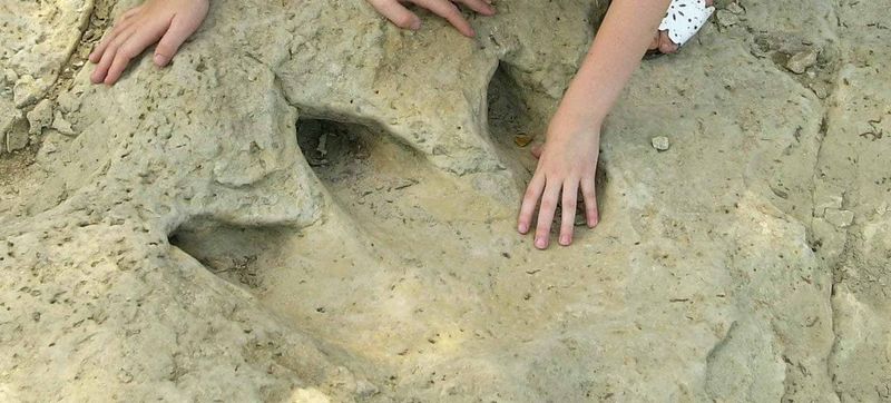 Dinosaur Valley State Park (Texas)