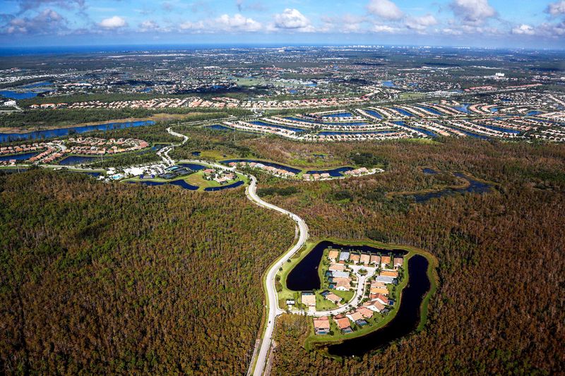 Wetlands Disappearing Under Concrete