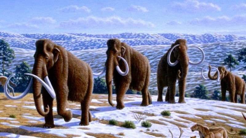 DNA Reveals Their Survival Secrets