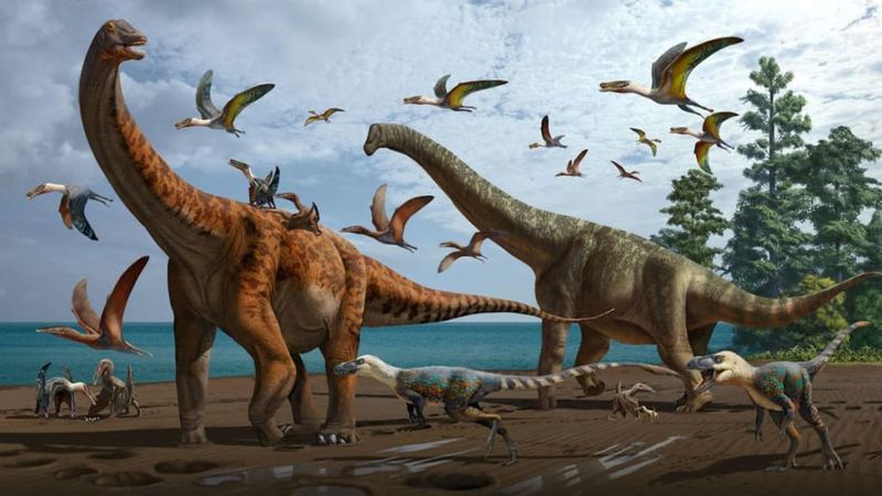 Predator-Prey Disruption