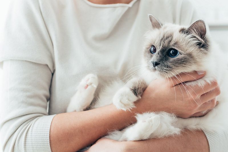 Clingy Behavior