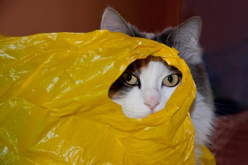 Plastic Bags Rustling