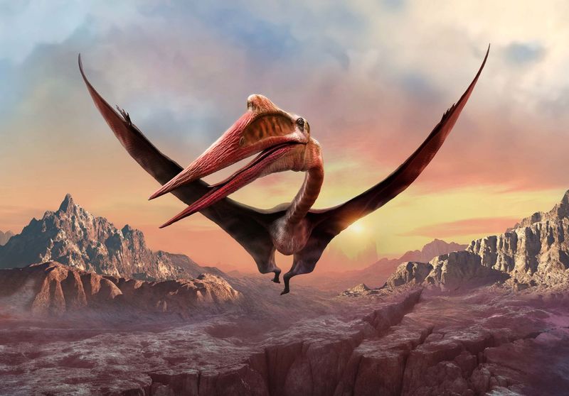 Quetzalcoatlus