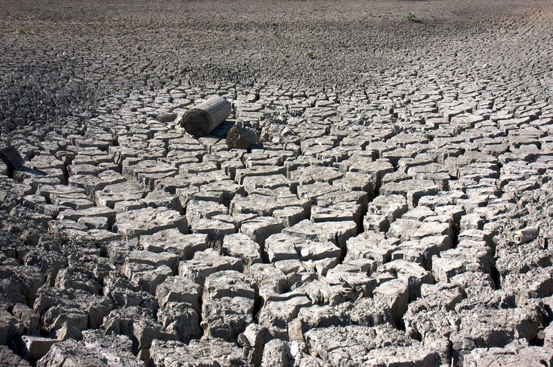 Desert Flyway Challenges