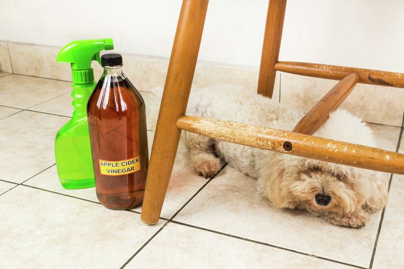 Apple Cider Vinegar Spray Tackles Yeast