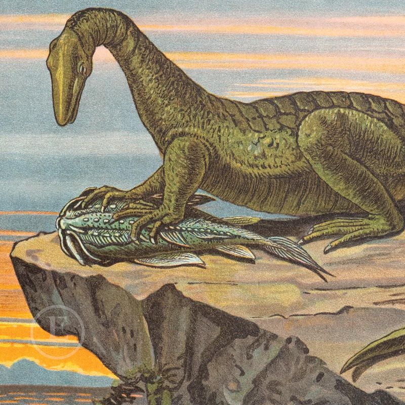 Protorosaurus: The