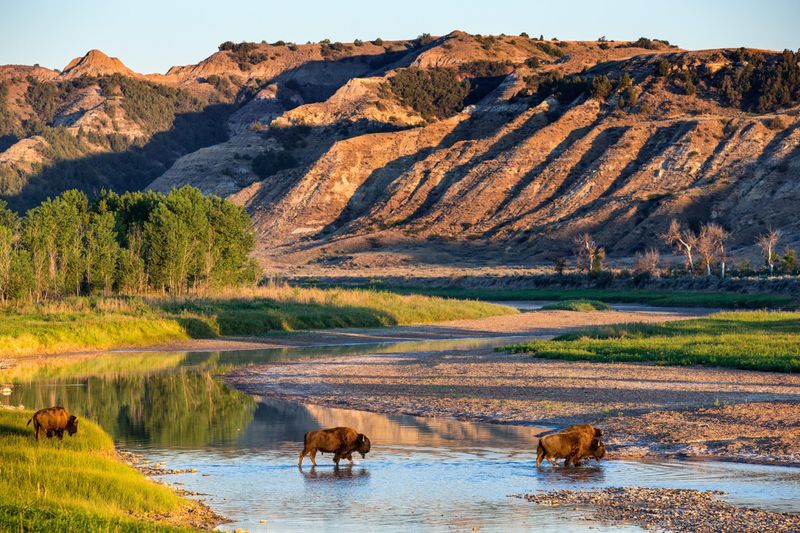 North Dakota's Theodore Roosevelt National Park Expands Range