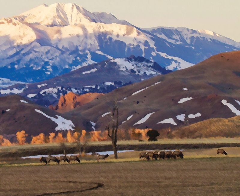 Montana