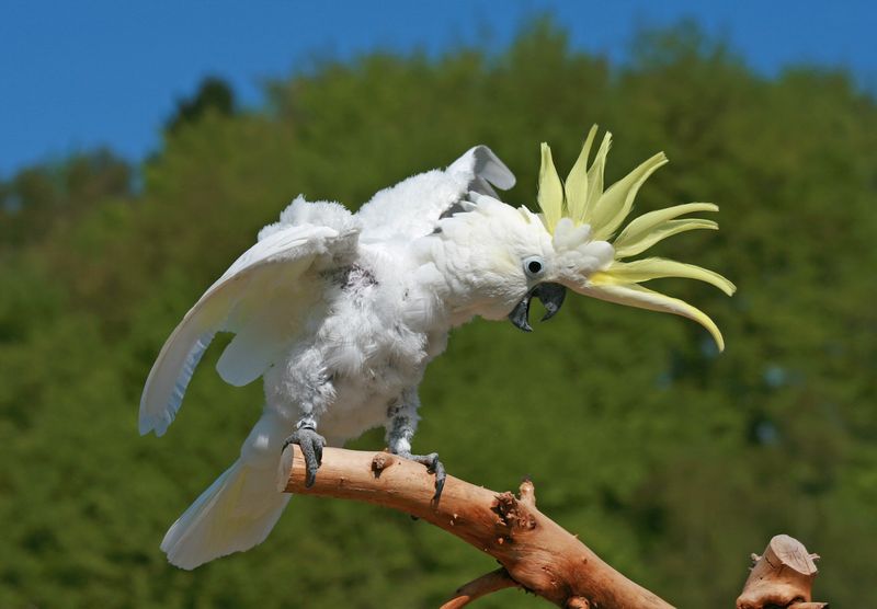 Dancing To Music