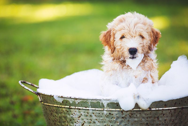 Bathing Bliss