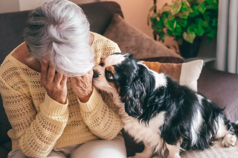 Empathy And Sensitivity To Human Emotions