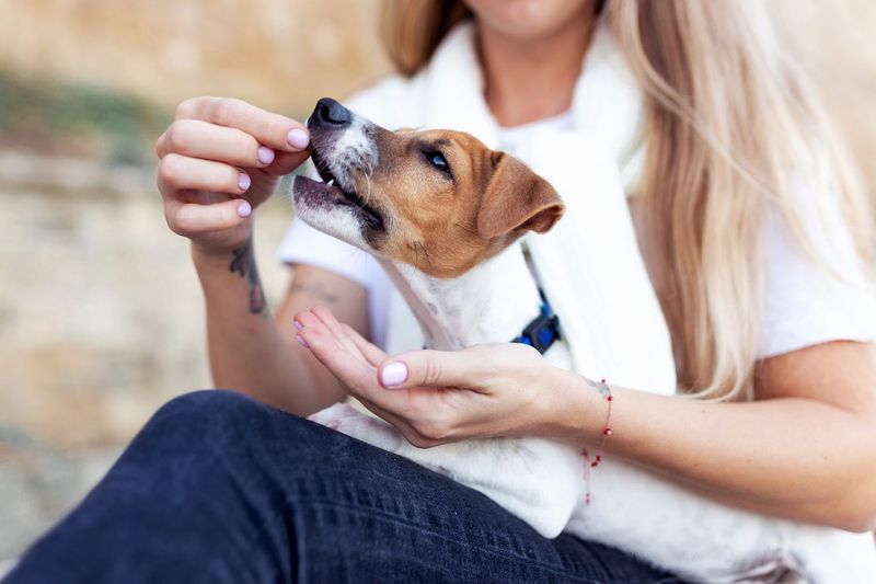 Build Trust Through Hand-Feeding