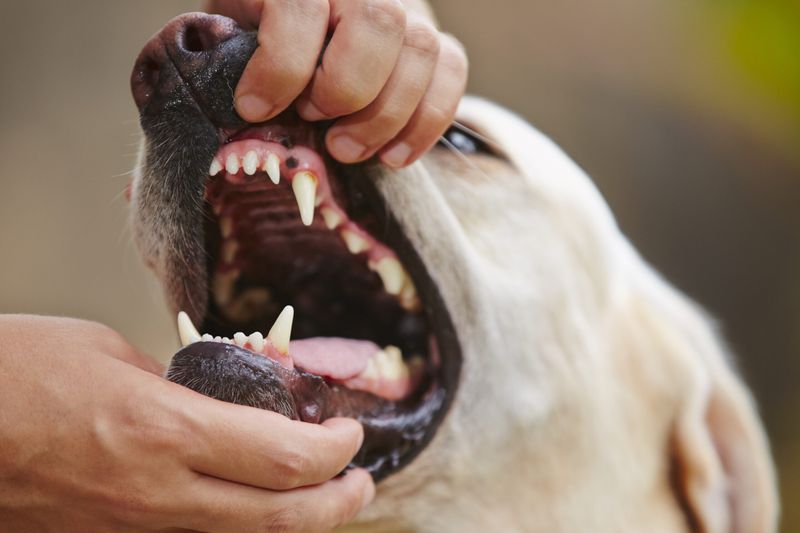 Address Bad Breath Promptly