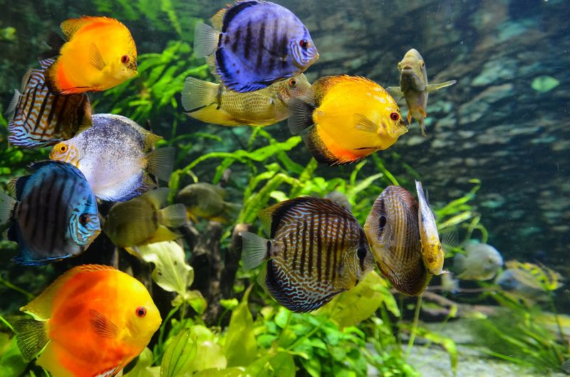 Ensure Tank Stability And Safety