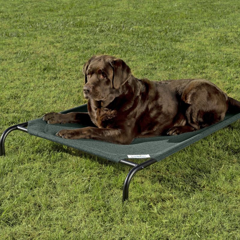 Elevated Mesh Beds