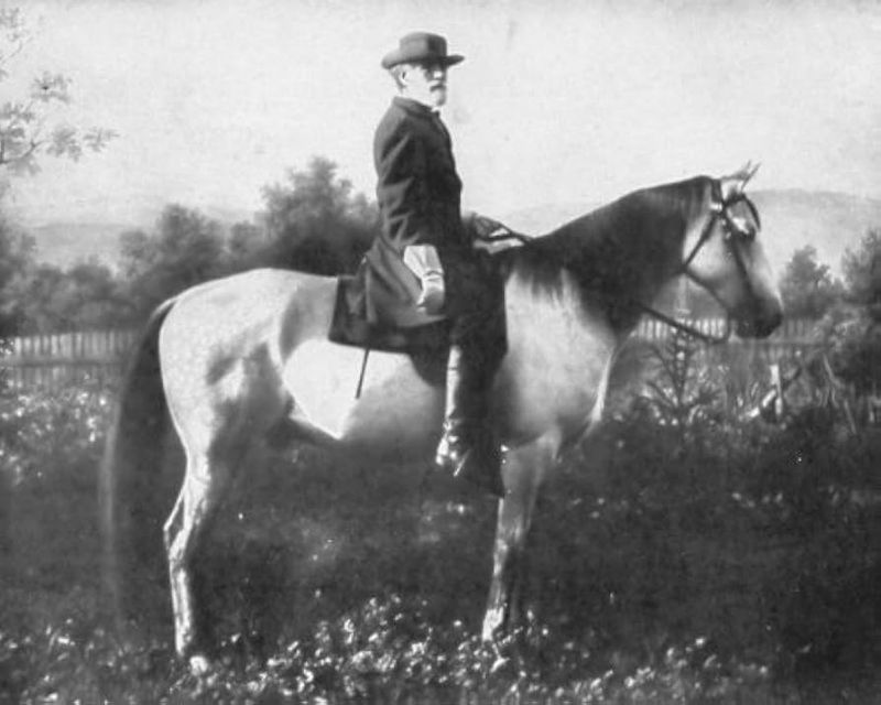 Traveller: Lee's Gray Shadow