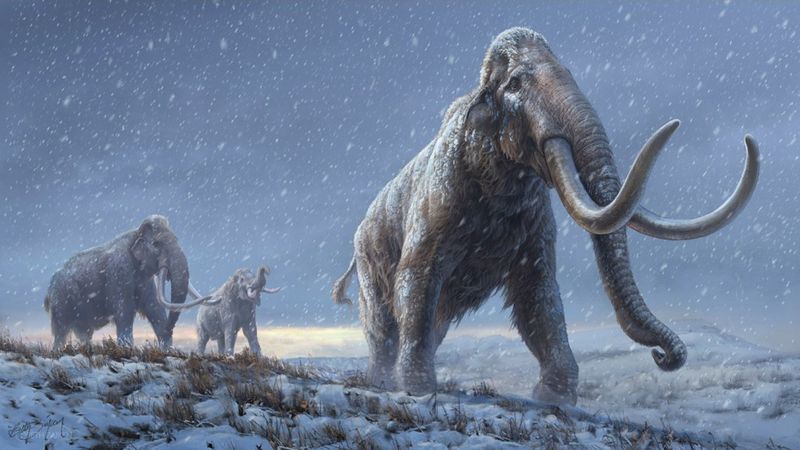 Ancient DNA: Where It's Collected