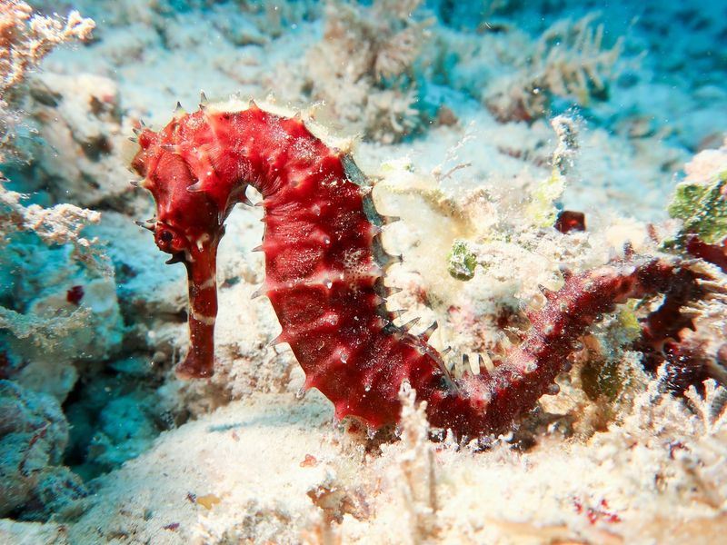 Unique Fin Arrangements