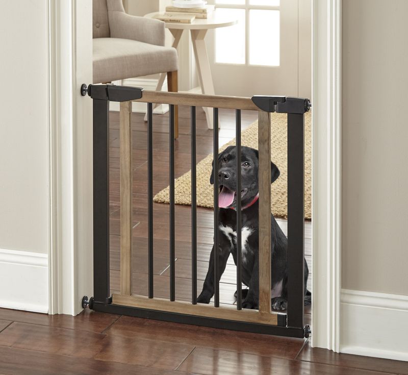 Baby Gates For Gradual Exposure