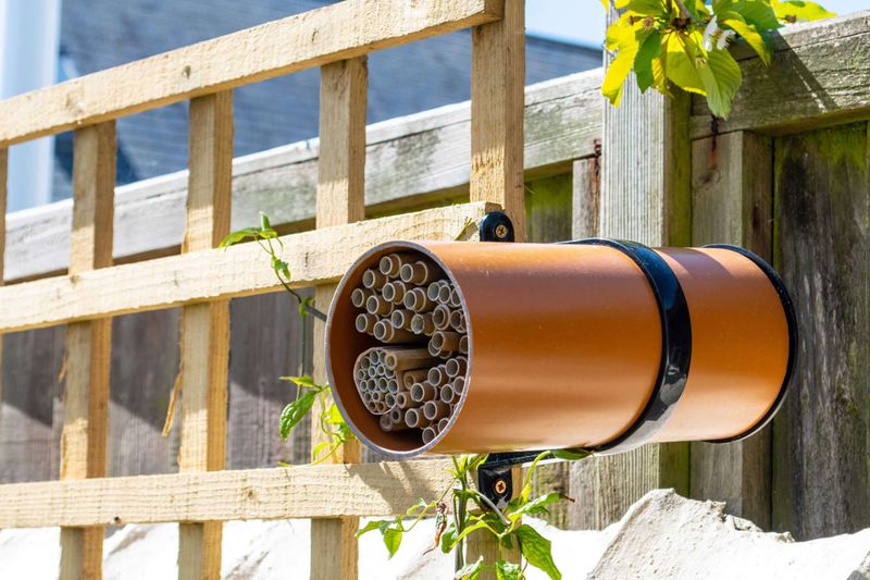 Build Insect Hotels