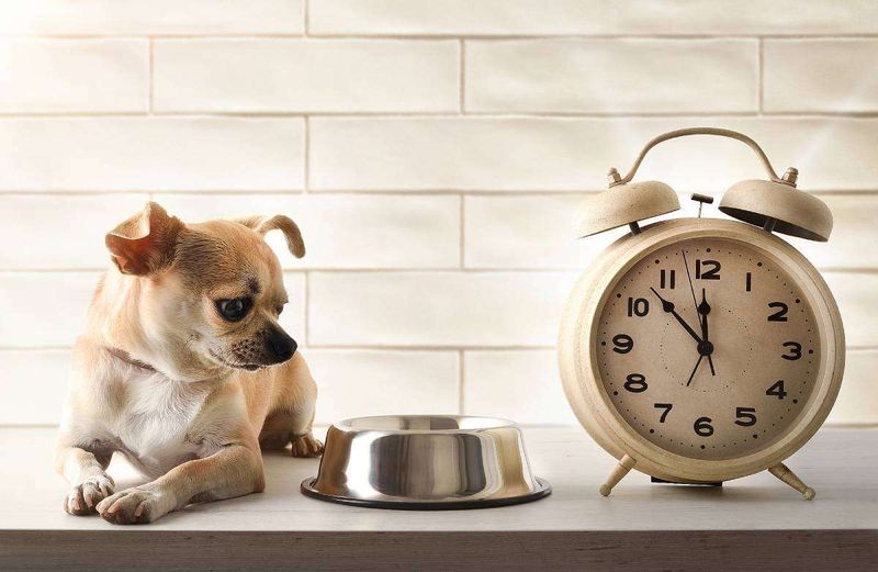 Establish Predictable Routines