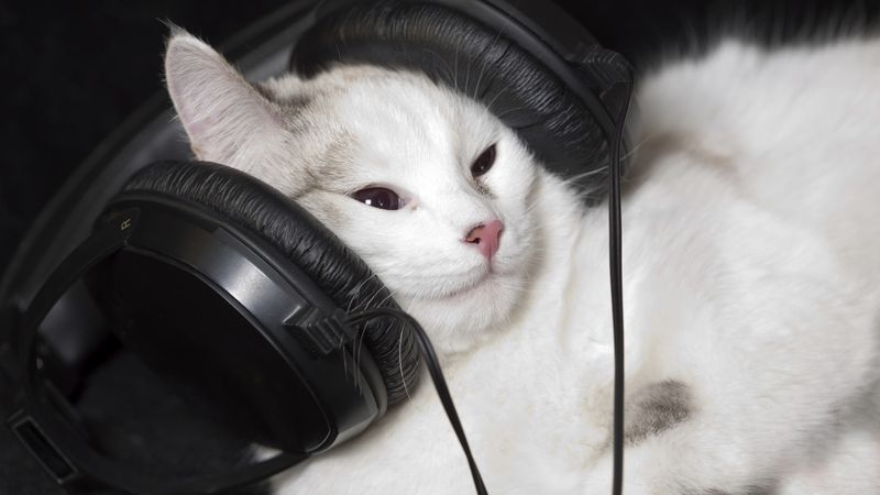 Use Soothing Music