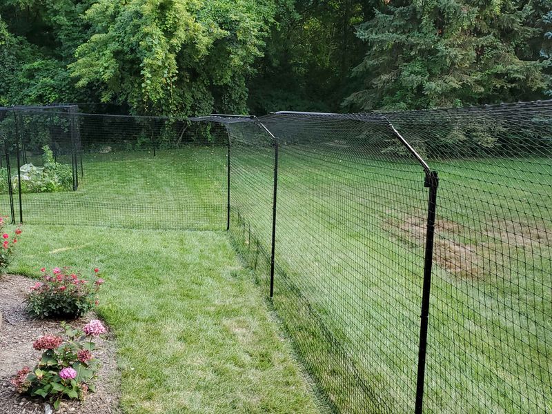 Install Cat-Proof Fencing