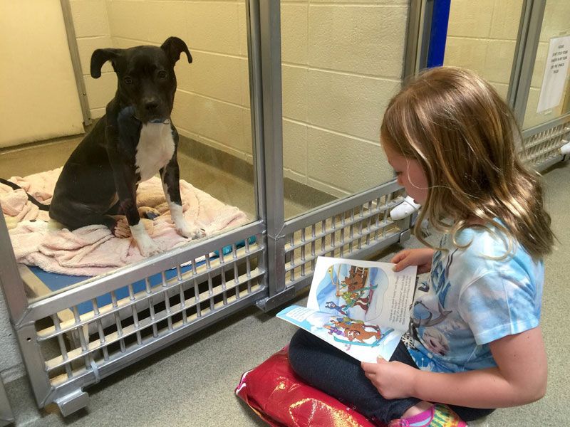 Read Books To Shy Dogs