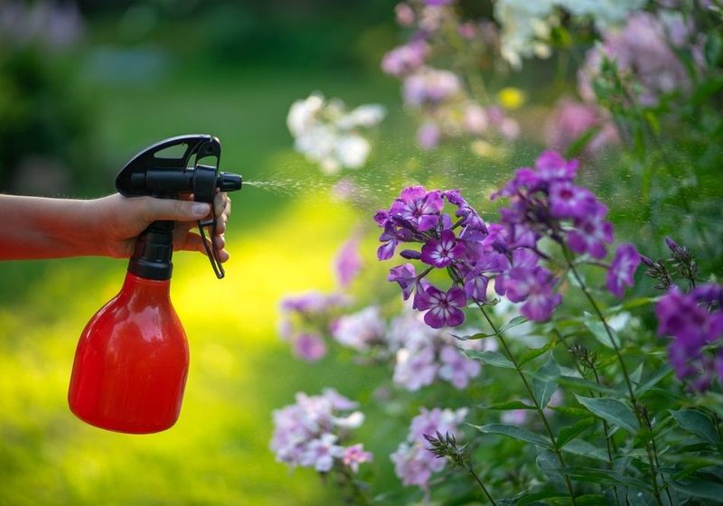 Eliminate Pesticides
