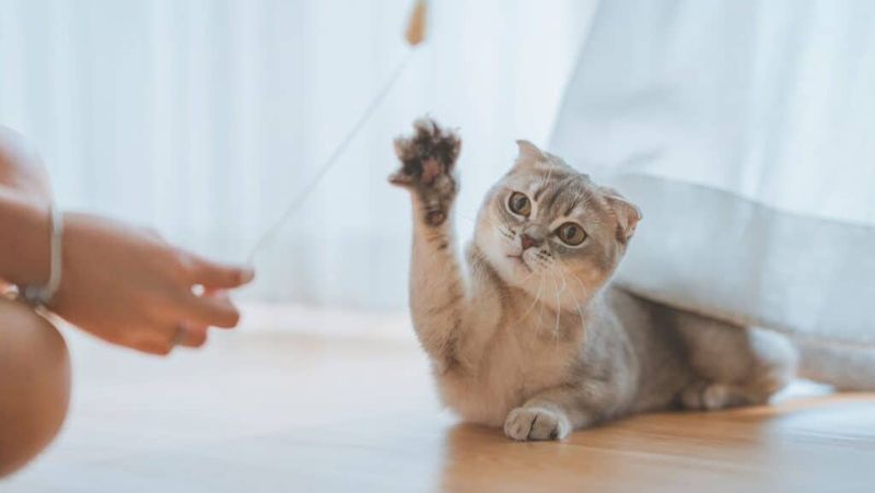 Mindfulness Practice
