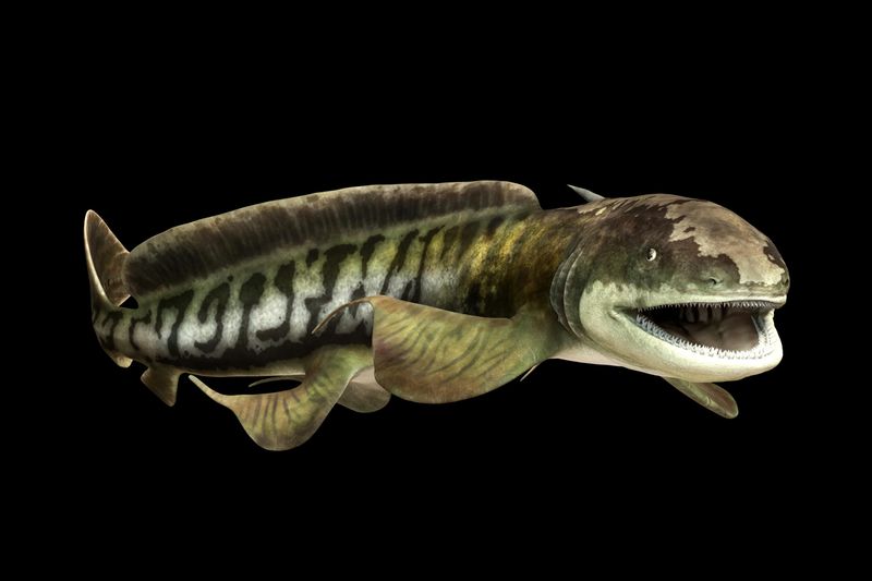 Orthacanthus: The Freshwater Monster