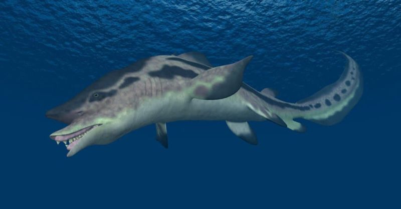 Sharks: The Ocean's Unchanging Hunters