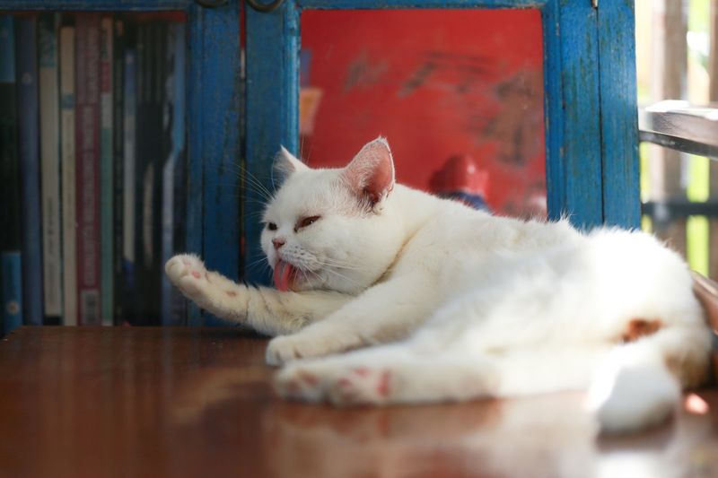 Grooming With One Eye On You