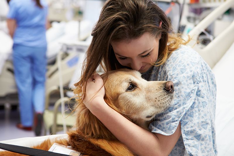 Heart Attack Recovery Partner
