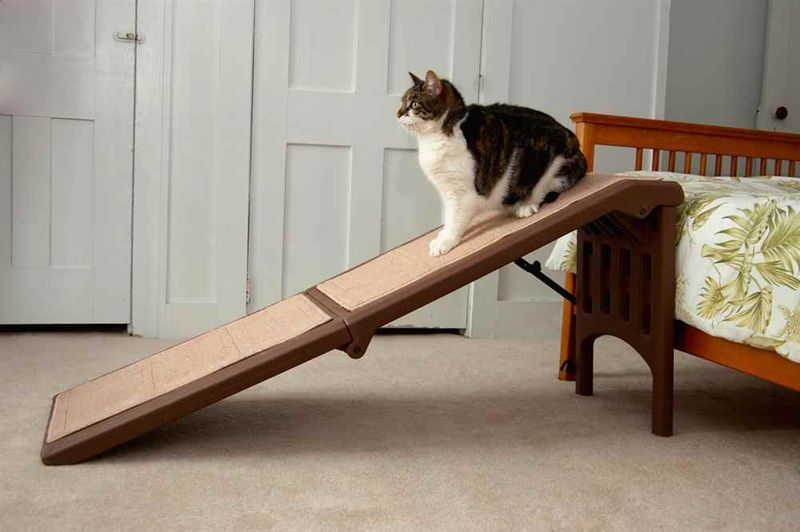 Proper Joint Support And Mobility Assistance