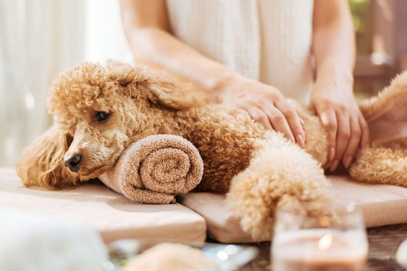 Massage And Gentle Touch
