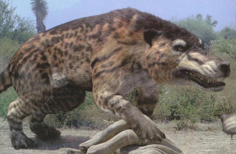 Andrewsarchus: The Sheep Relative With Wolf Hardware