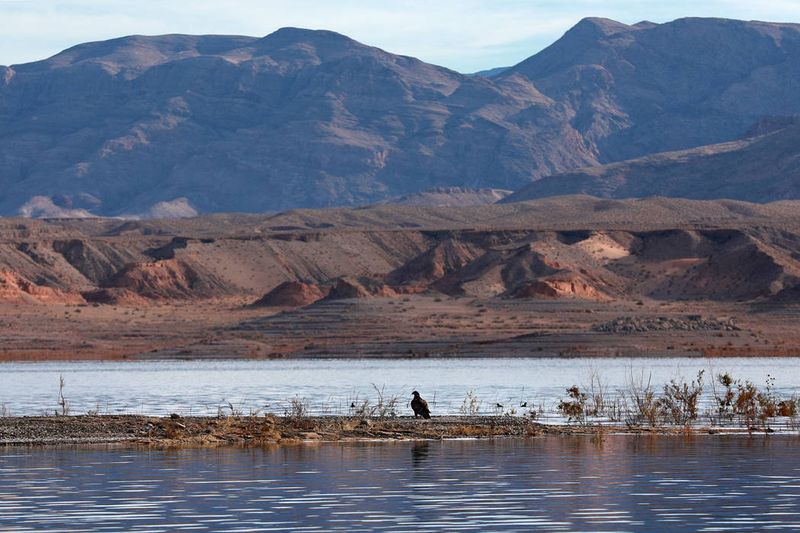 Nevada