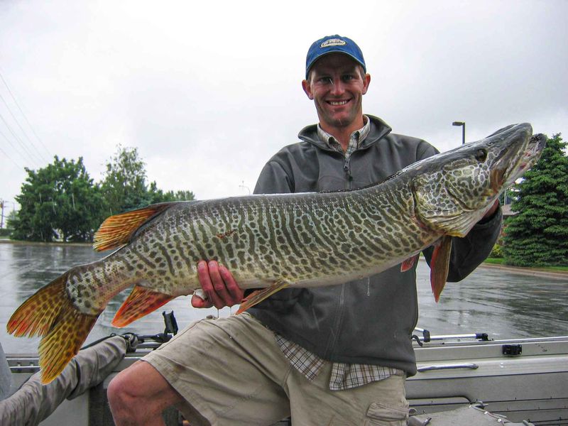 What These New Tiger Muskie Locations Mean For Local Ecosystems