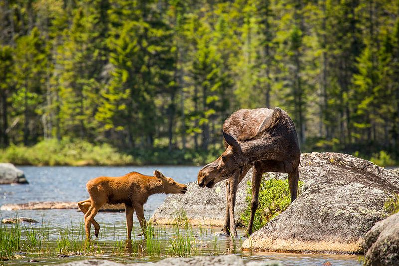 Baxter State Park, Maine