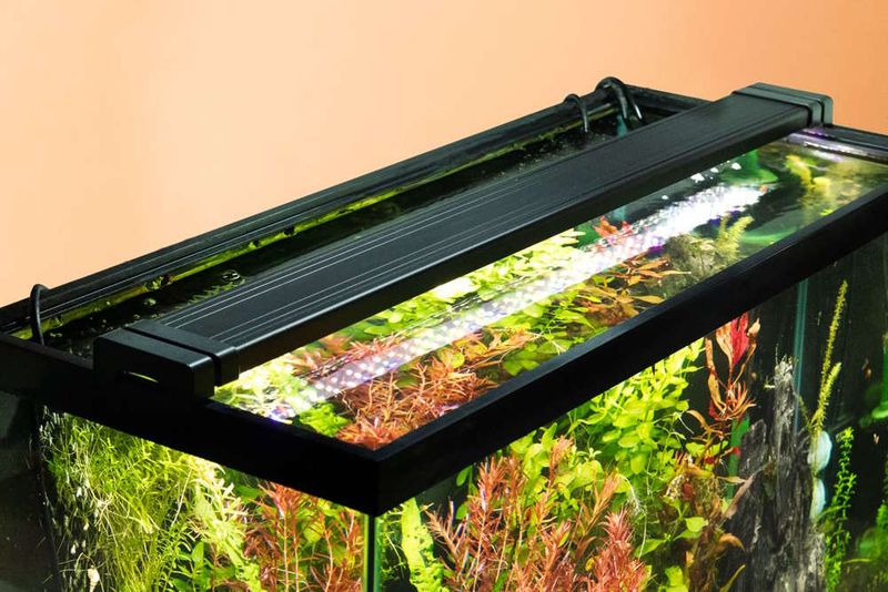 Factor In Lighting Needs