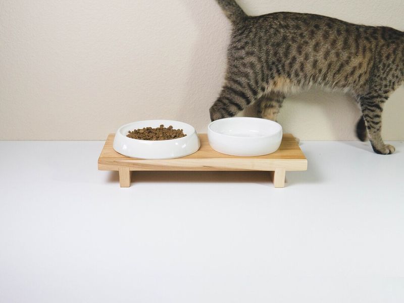 Easier Access To Food And Water