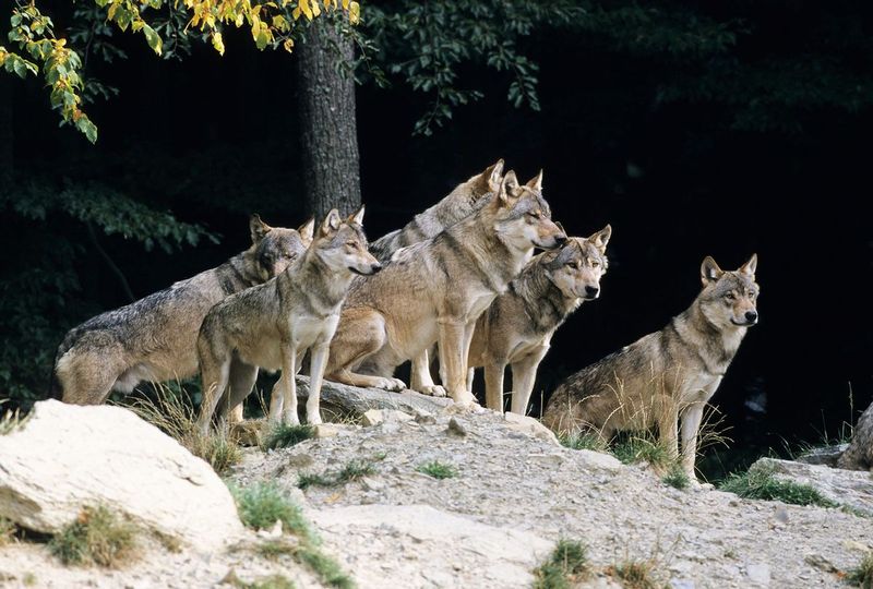 Strength In Numbers